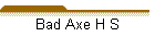 Bad Axe H S